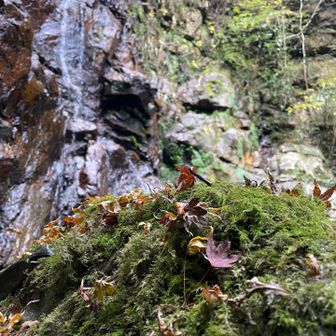 写真の中に全部入りきらない滝、見応えあって見上げる滝、お口あ〜んとなる