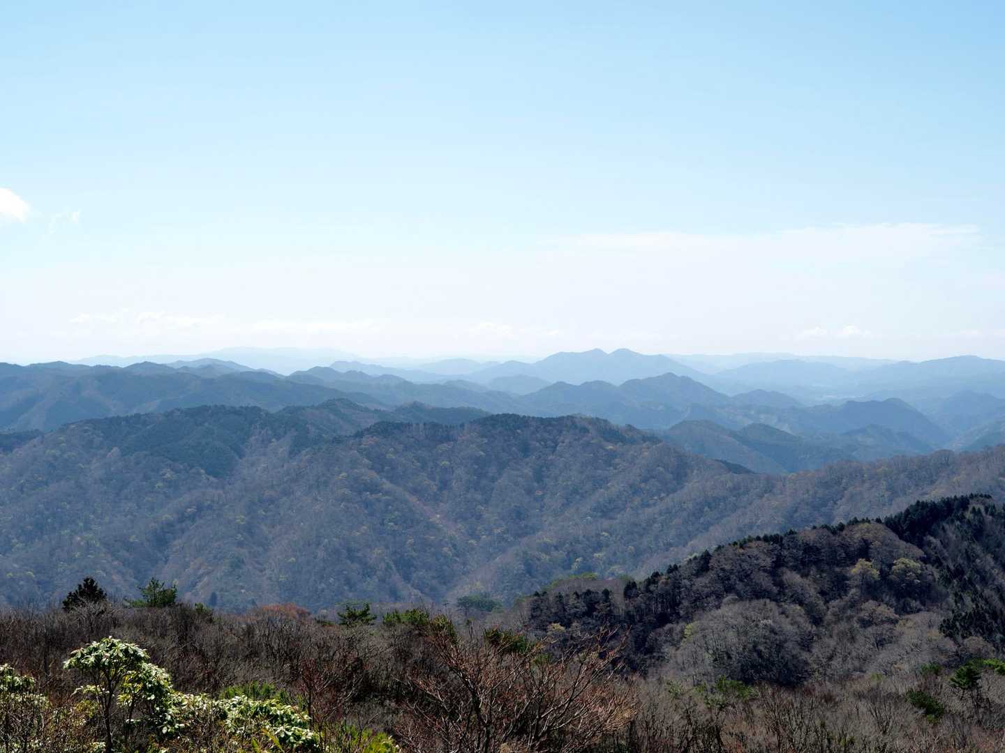 弟見山 往復コースの写真