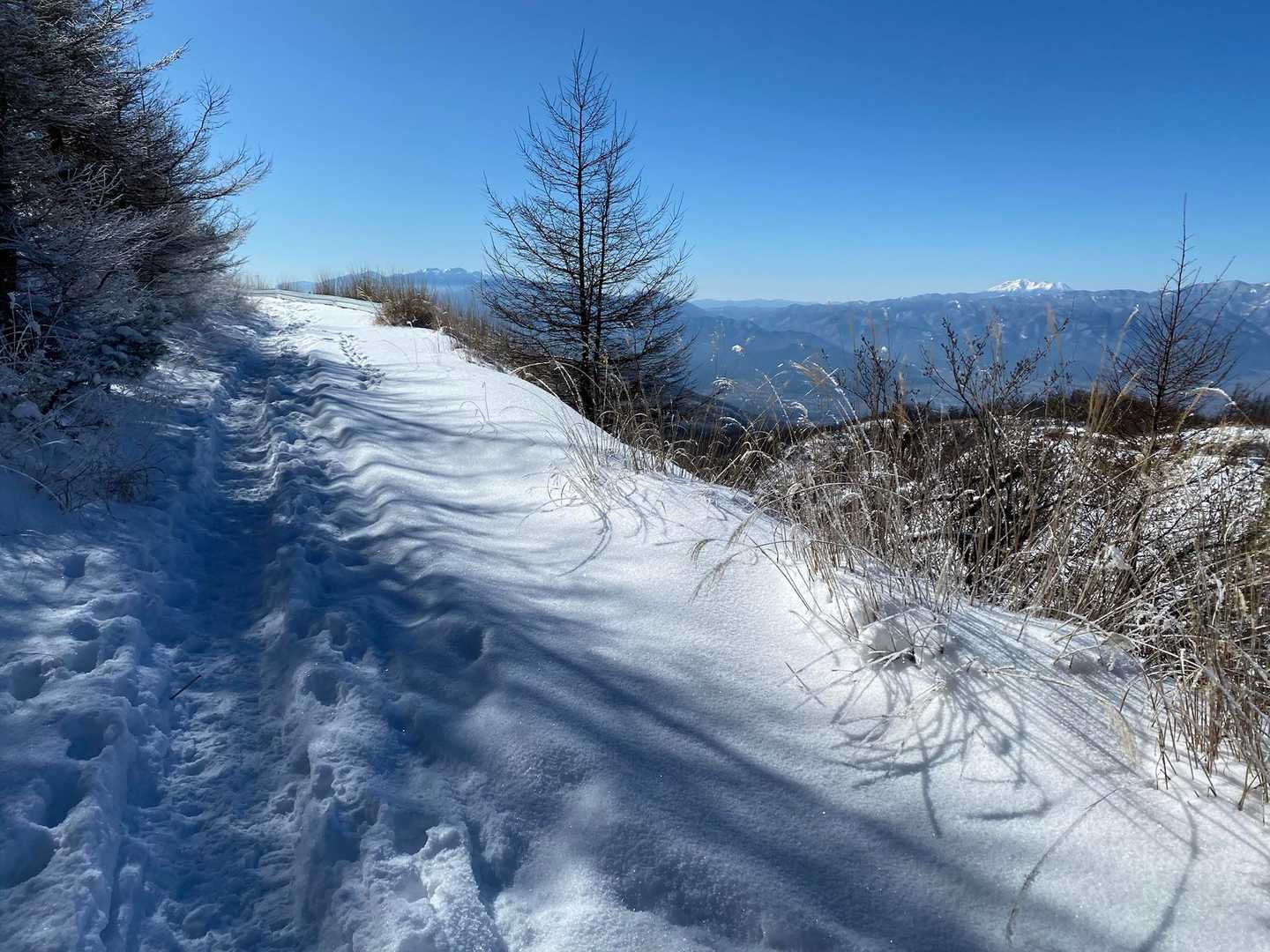 車道歩き多し