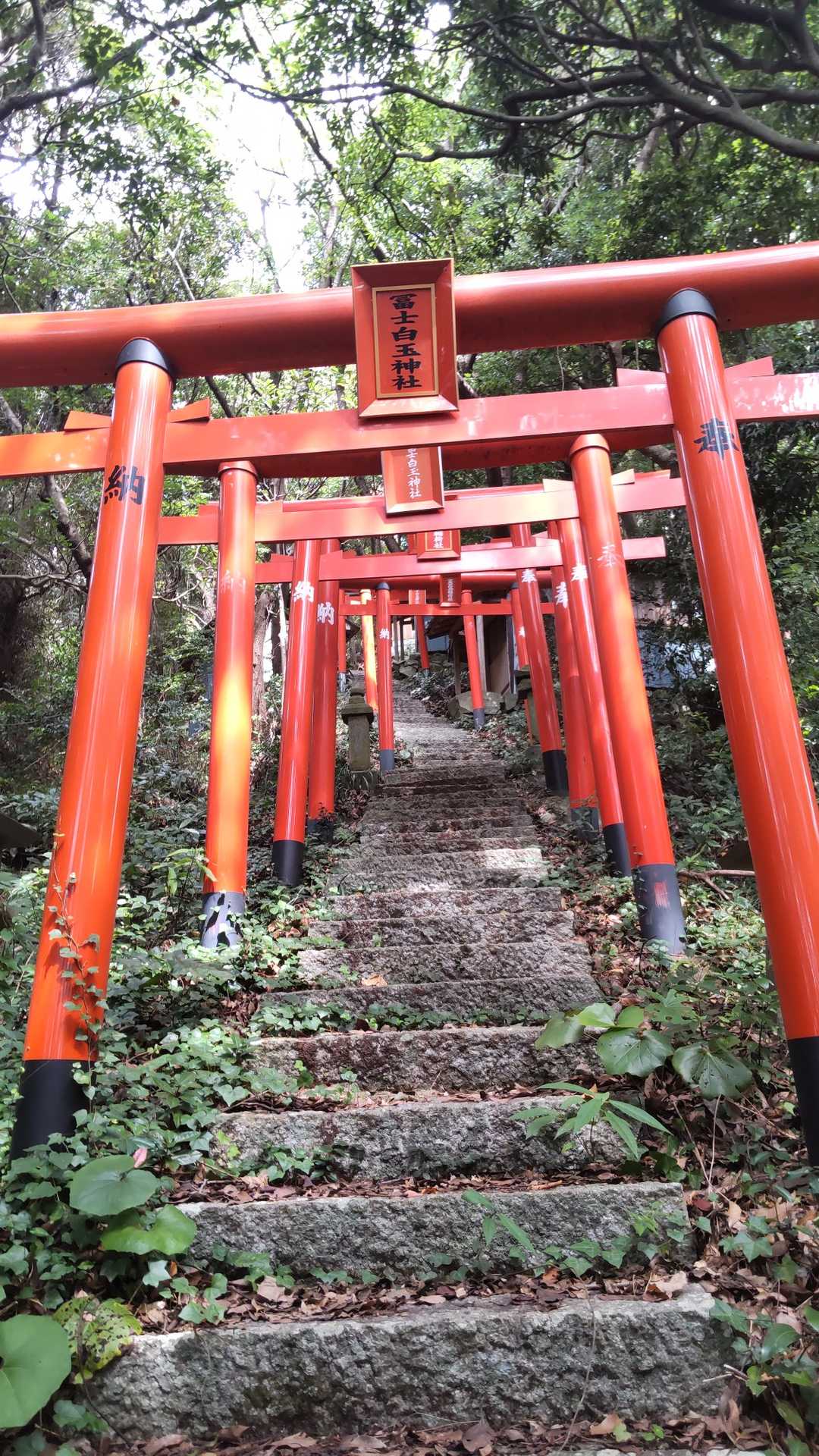 白玉神社