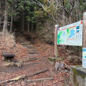 息子の送迎の合間に長者ヶ岳を一本です
