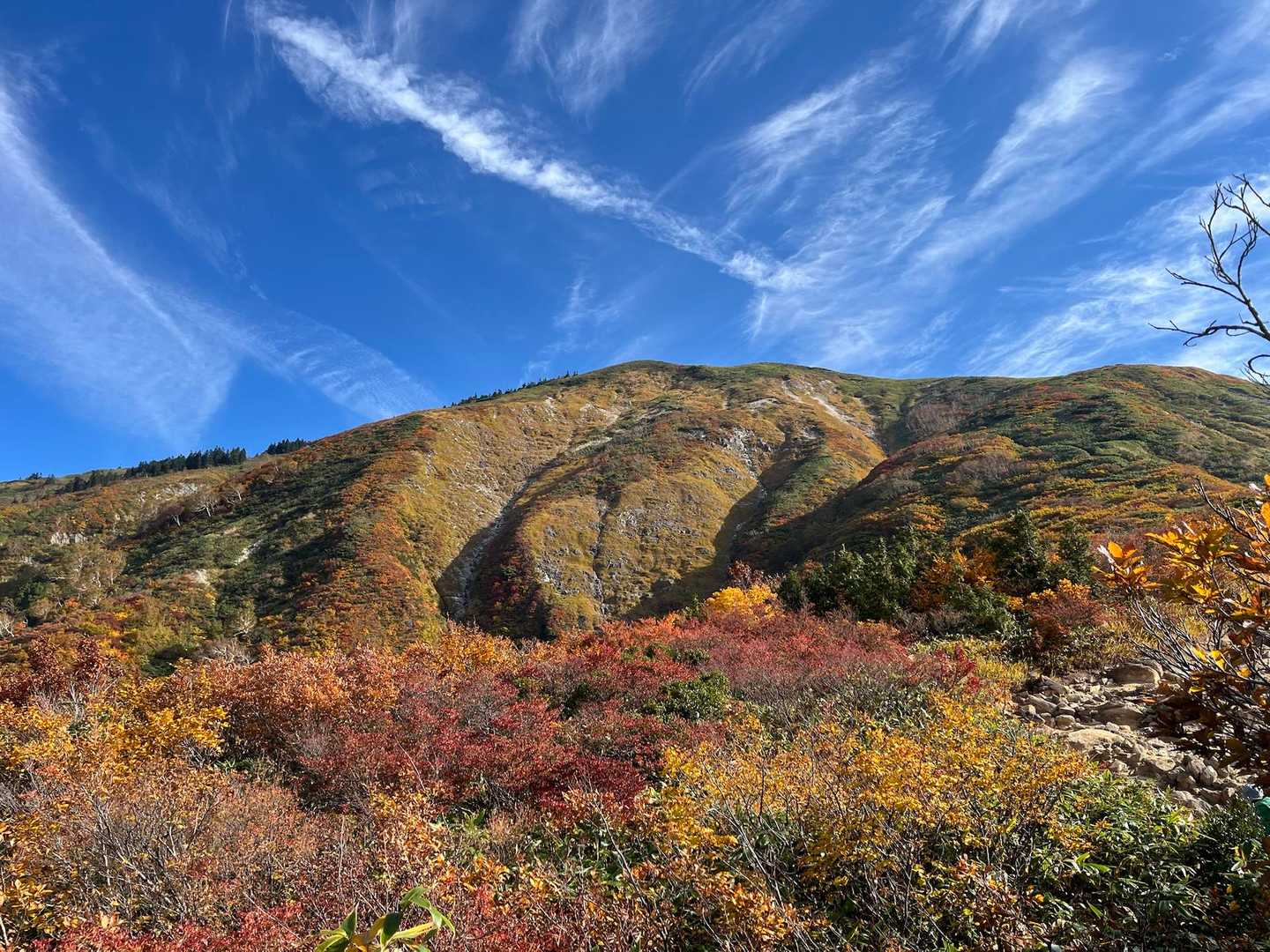 わぁ✨✨✨
草紅葉🍁と青空。映える〜🤩🤩🤩
綺麗過ぎる😍