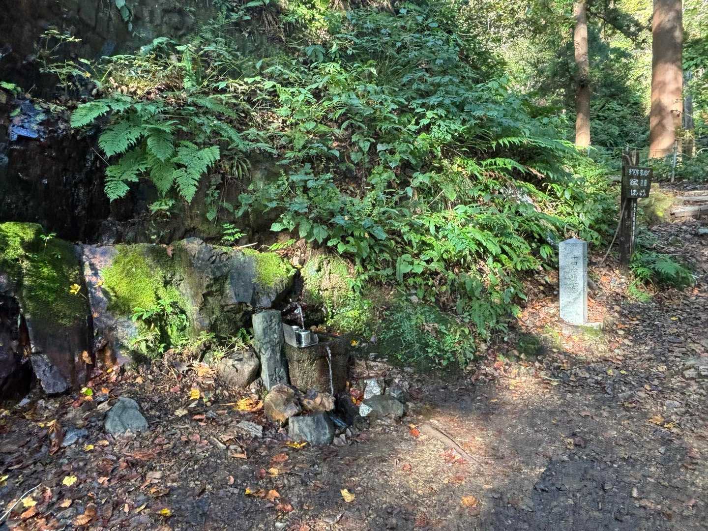 ありがたいことに、水場もあります。