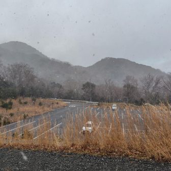 結構雪❄降ってきました。　　
今年もよろしくお願いします。
