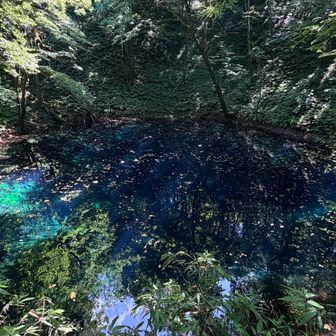 こちらは、青池