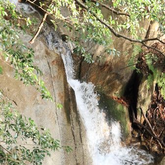 引くとこんな感じ💦