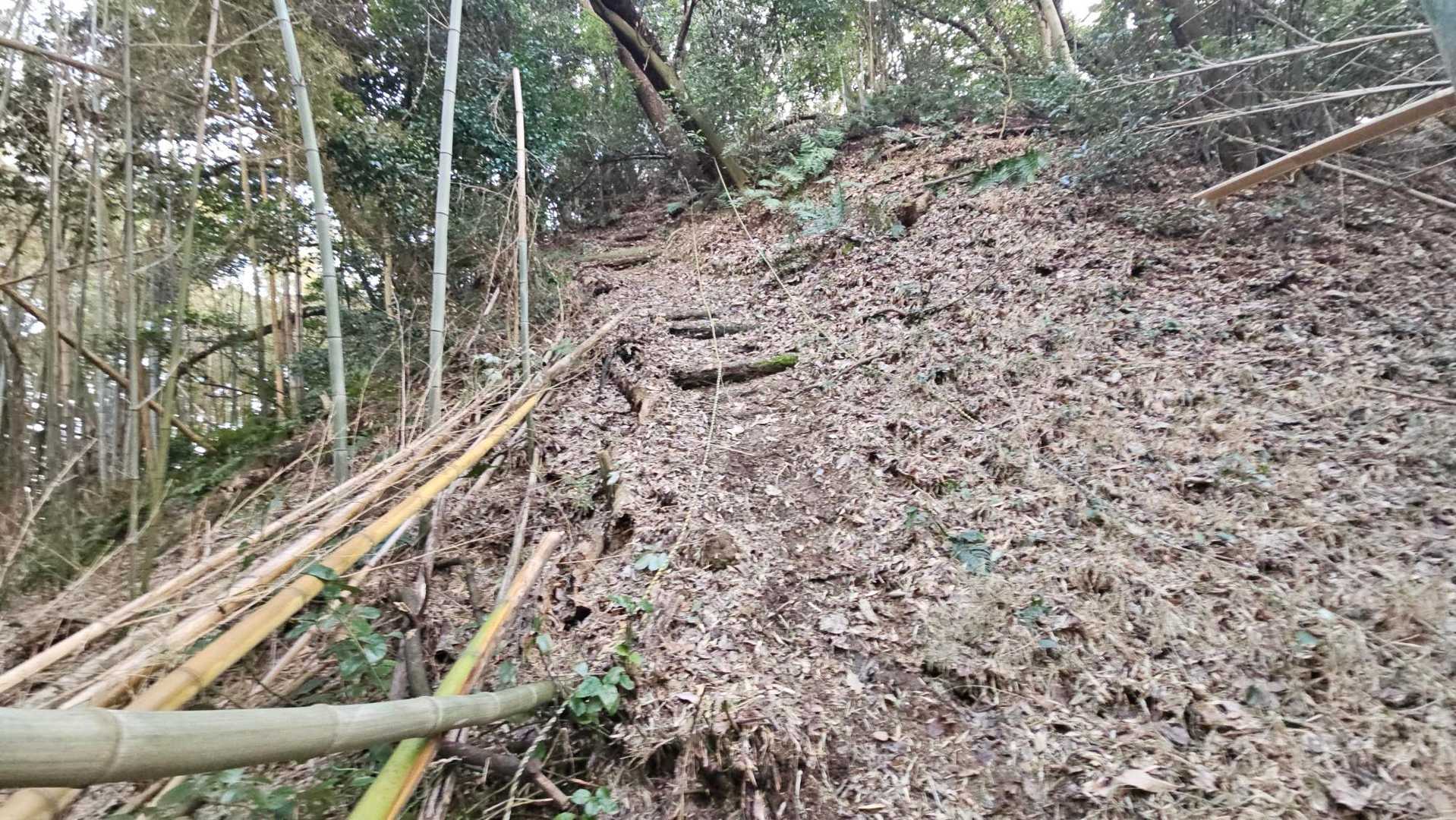 分かりにくいんですけど、傾斜めちゃ強いです。