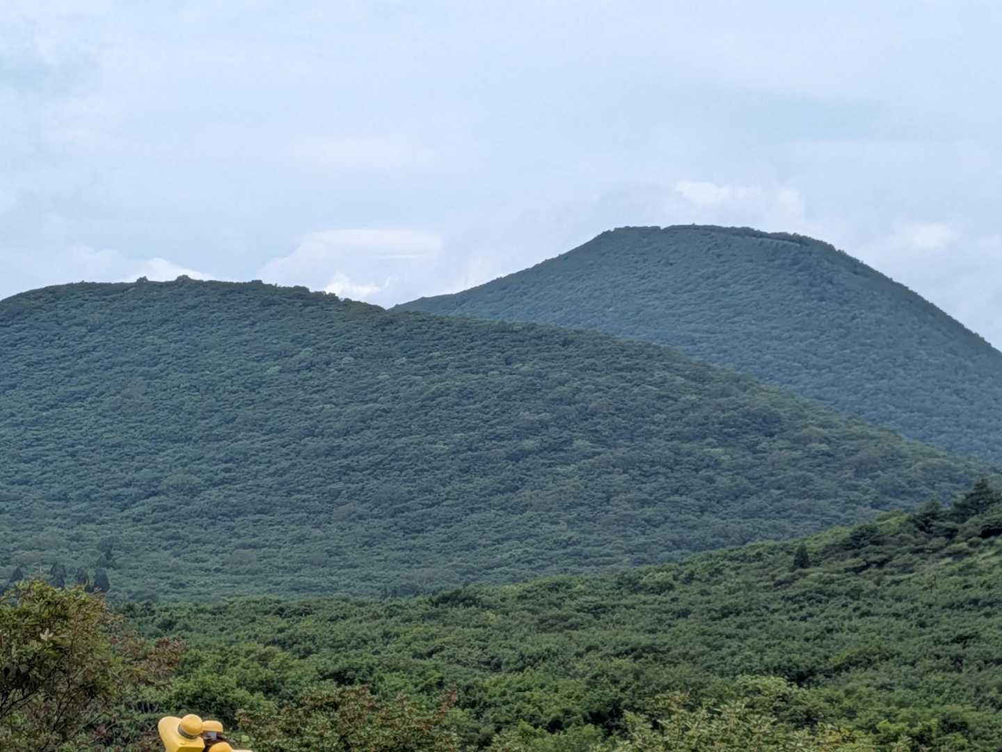 低山ながら 十分山歩きを感じられた海向山でした⛰️