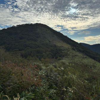 田代山から見た駒木山