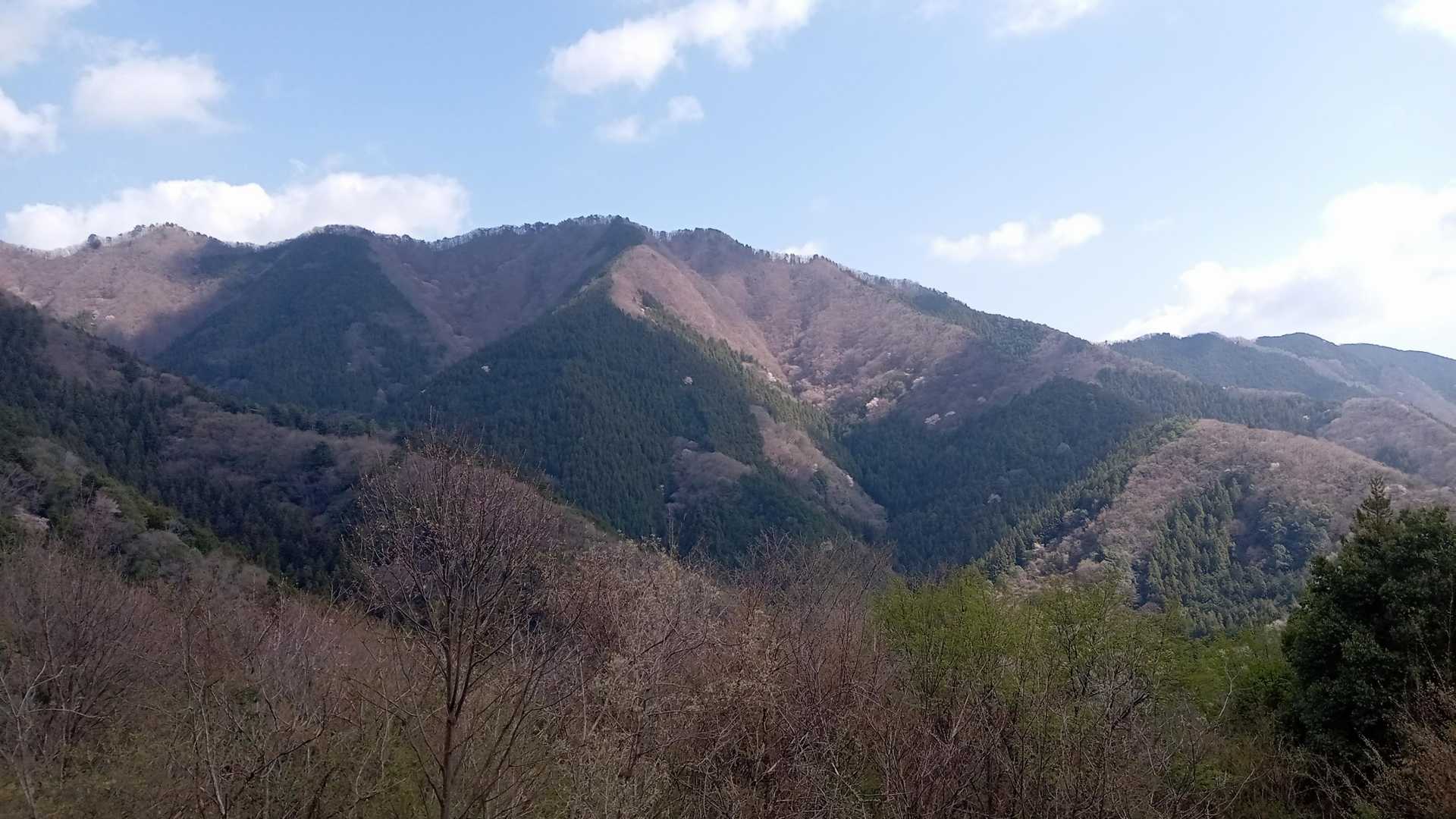 あっちは陣馬