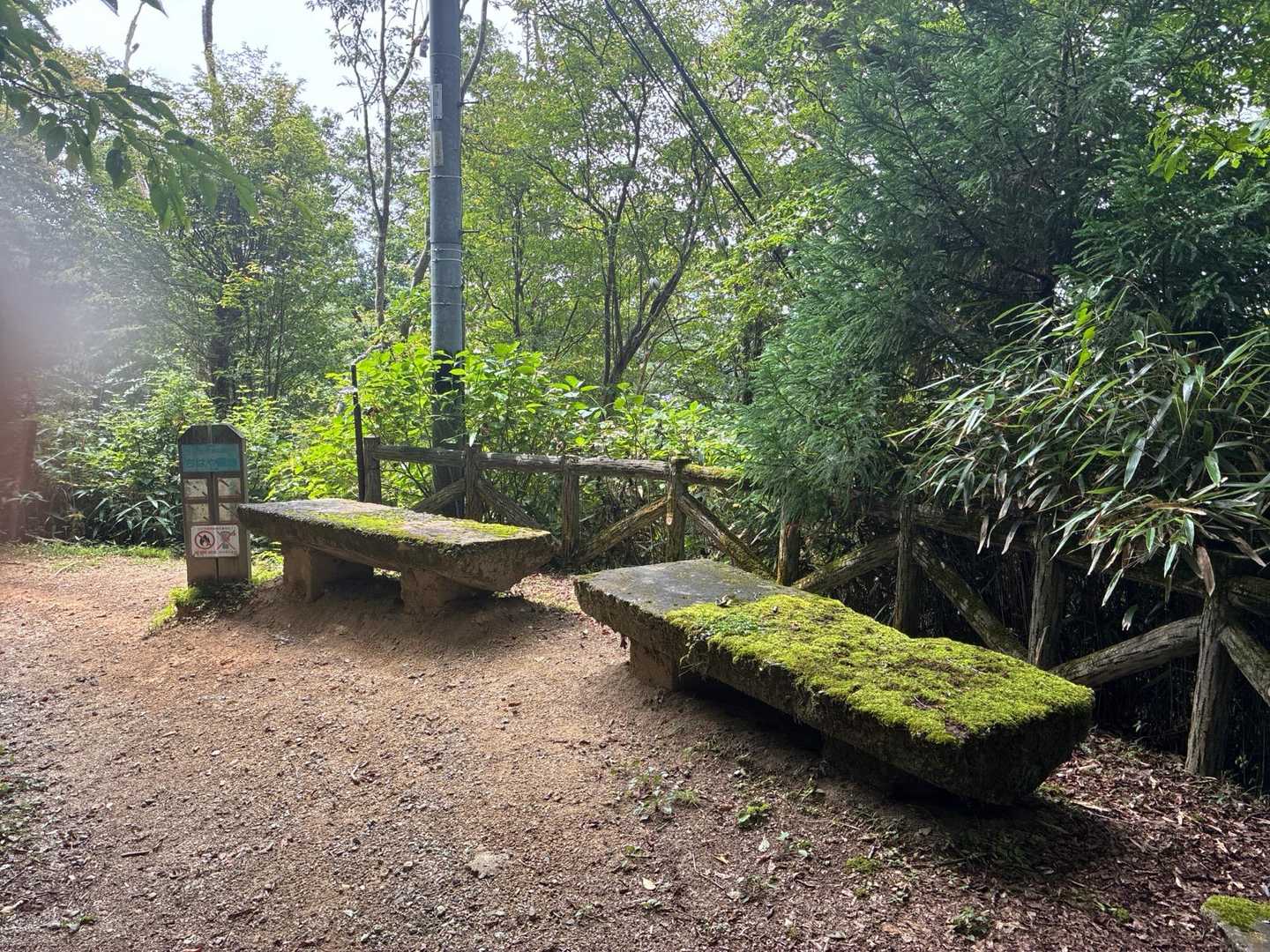天ヶ滝新道登山口-伏見峠-金剛山葛木神社-金剛山 往復コースの写真