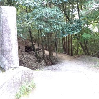 ここから比叡山に取り付くつもりだったが、ケーブルカー運休により下山道へ