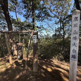 山頂を独り占めです
ここまで 人間は
すれ違い一名と林業関係の方が７名だけ