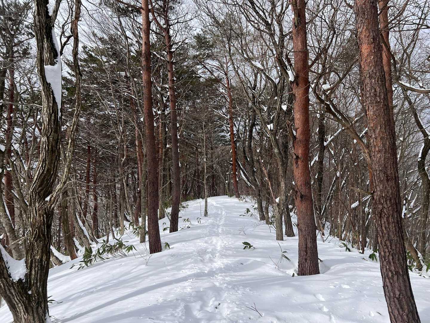 途中飽きてしまうのも
私の悪い所
