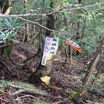 こっちから北谷におりれるようですが、現在は崩落のため通行止め