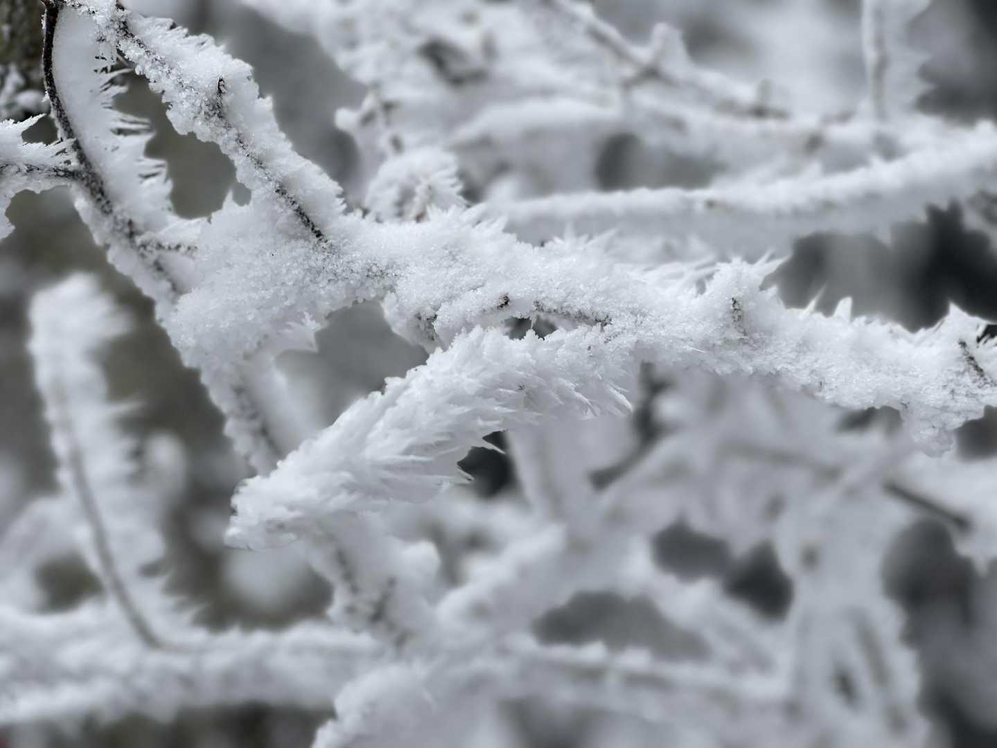 観音峯登山口-観音峯山-法力峠-稲村ヶ岳登山口 縦走コースの写真
