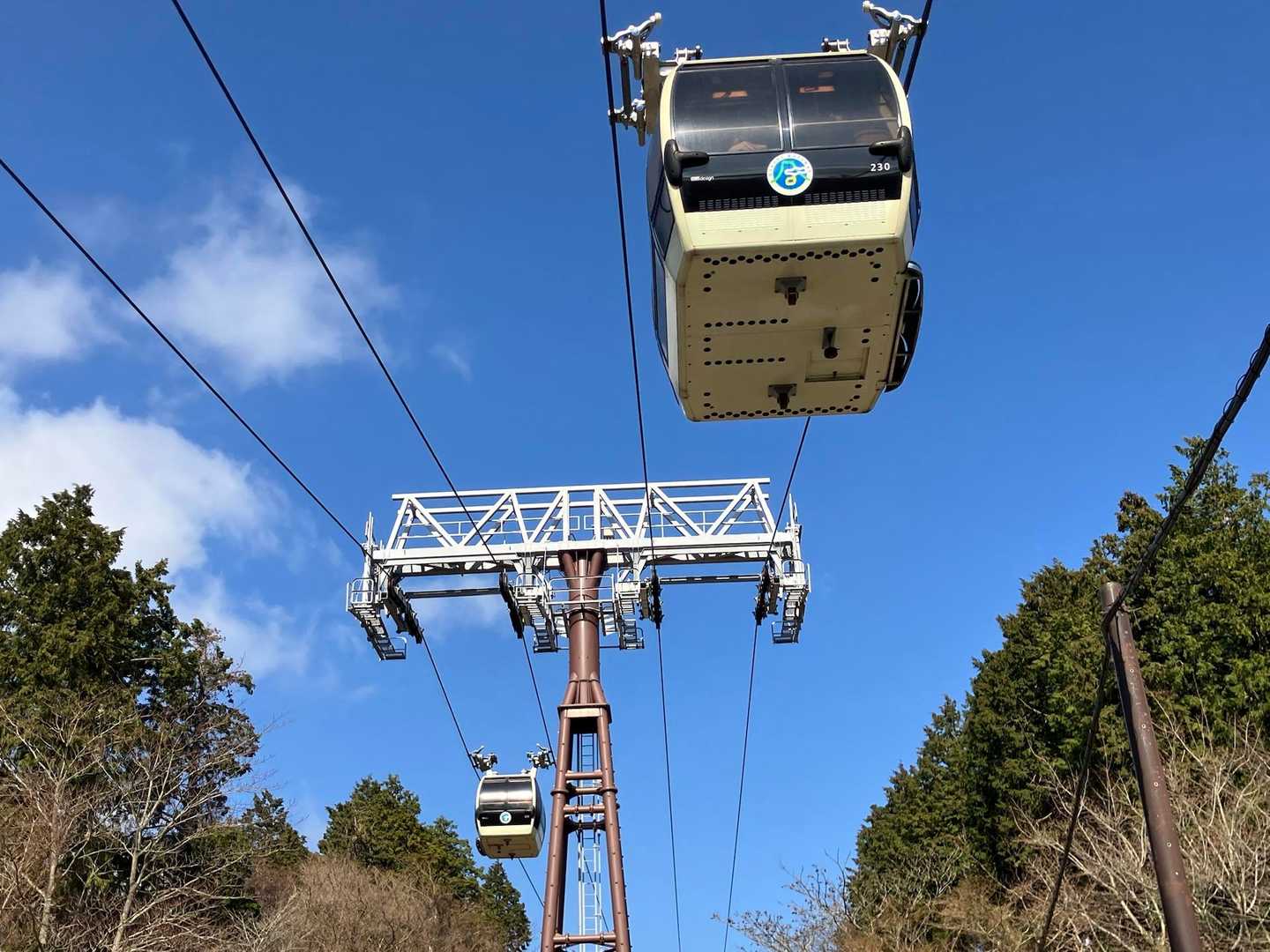 下山の時の急下りに膝が痛くなりましたが
無事に下山し桃源台駅に🚶‍♀️
ロープウェイもバスも待ち列
さすが箱根👀