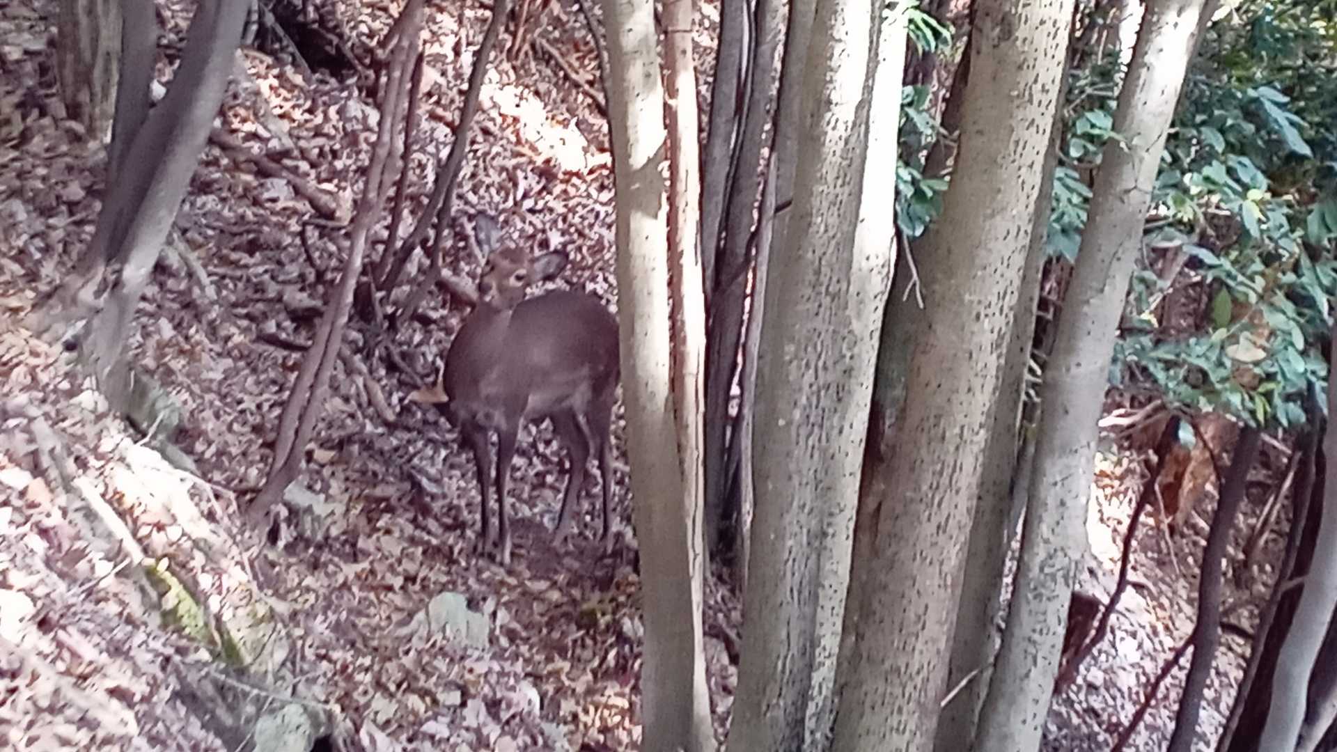 ほら！逃げません