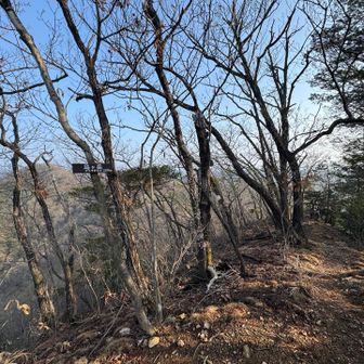 烏ケ岳
ほんとにカァカァ鳴いてる🐦‍⬛