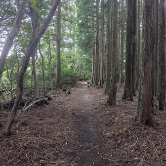 山頂から途中まで元愛宕神社ルートで下ります。
