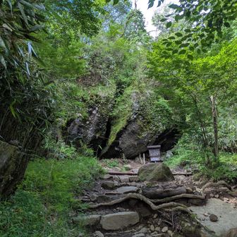 BrownFingersGreenThumbs