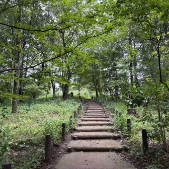 再度浅間山に登って休憩。