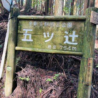 五ツ辻でも休憩。