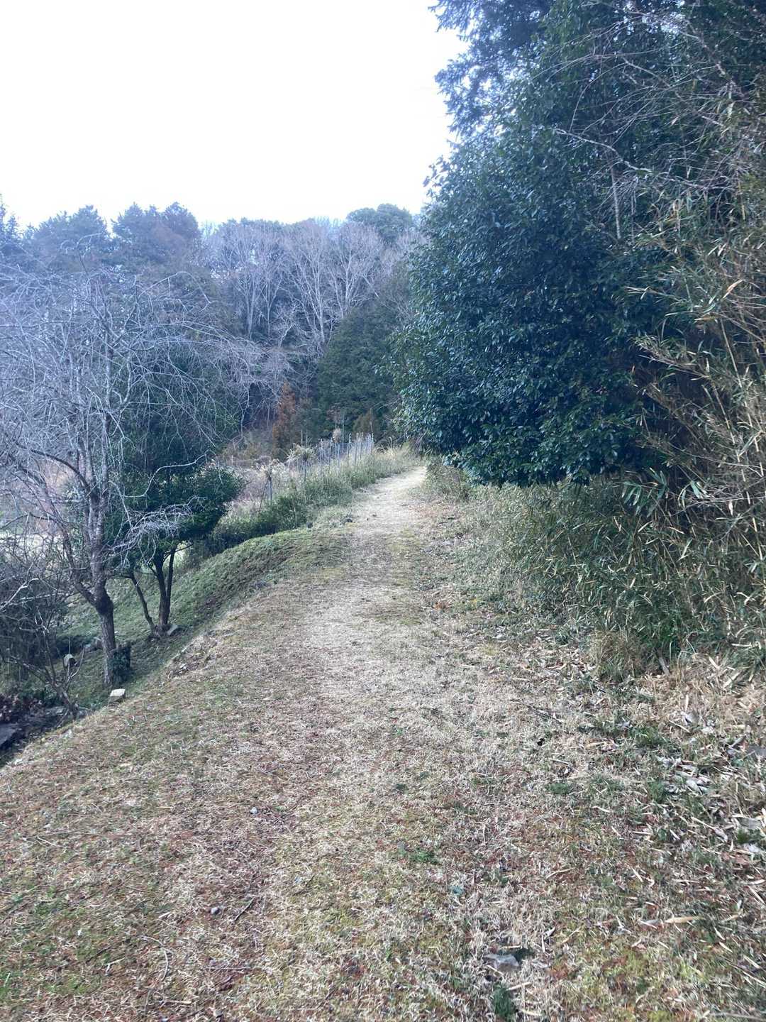 🌟今日は、縦走ルートで総距離約18km🥾
アップ⤴️ダウン⤵️の連続ルート😁
めっちゃワクワク😁😎