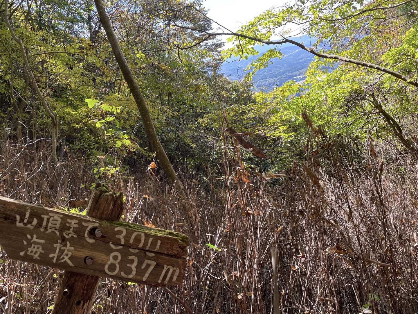 前回と違い急登の途中も遠くに山々が見えて、力が湧いてきます