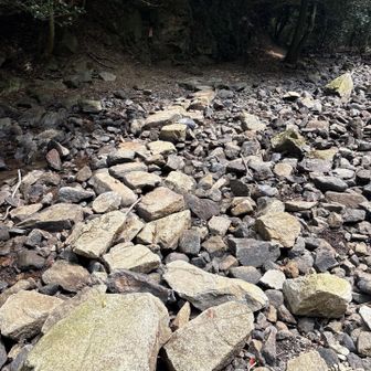 徒渉箇所。
全く水無し。
