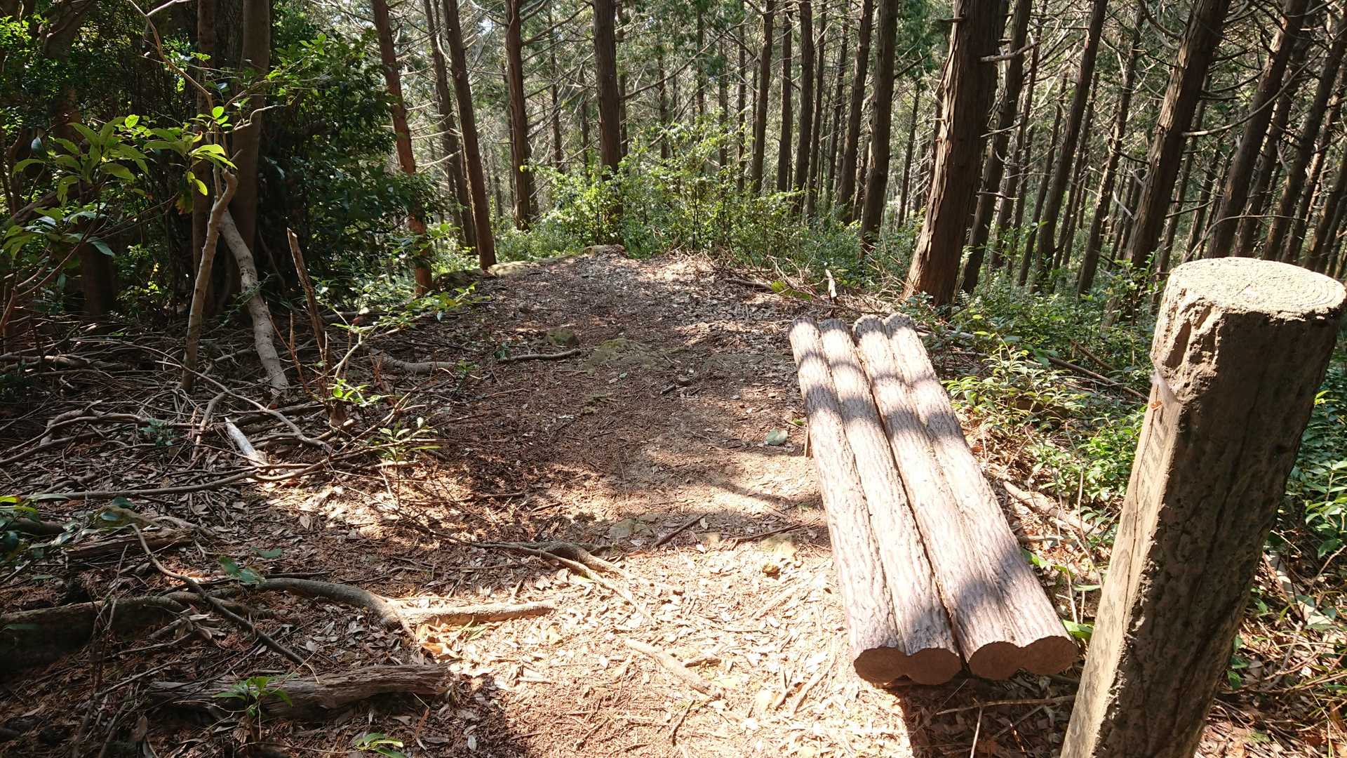 絶妙なタイミングでベンチがあってありがたい！
フラフラになりながらコーナーになんとか戻るボクサーみたいな気分で座り込みます！