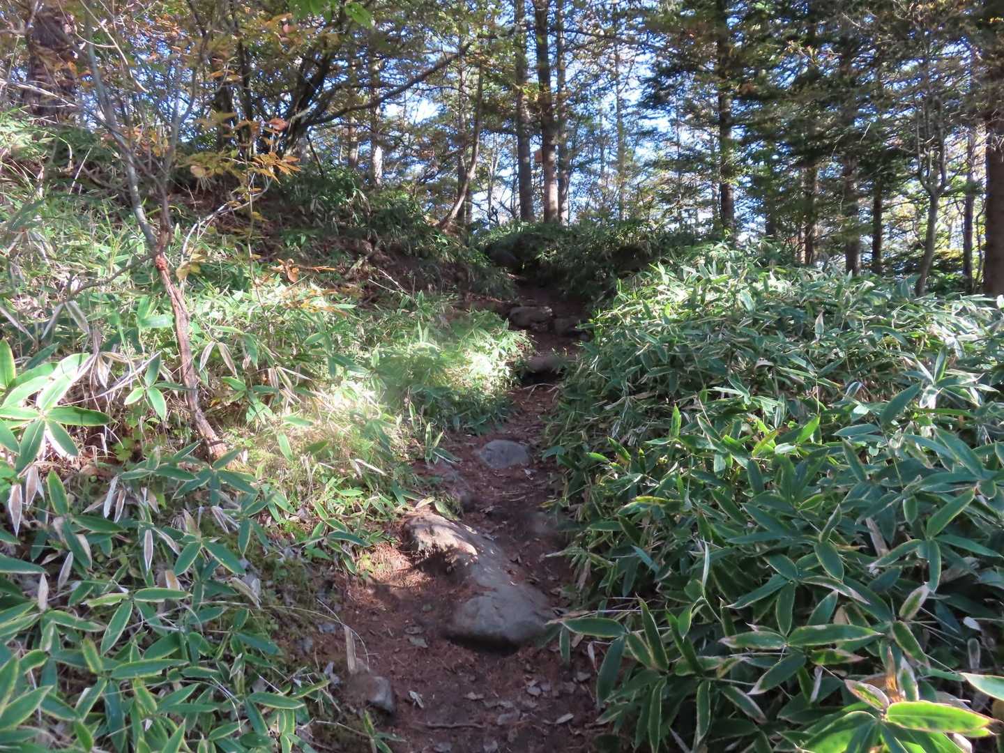 天の河原に向う登山道の様子