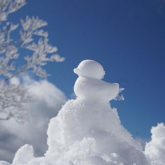 ピヨピヨ🐤も青空がバックやと映えるわぁ