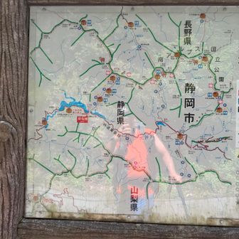 帰ってきた