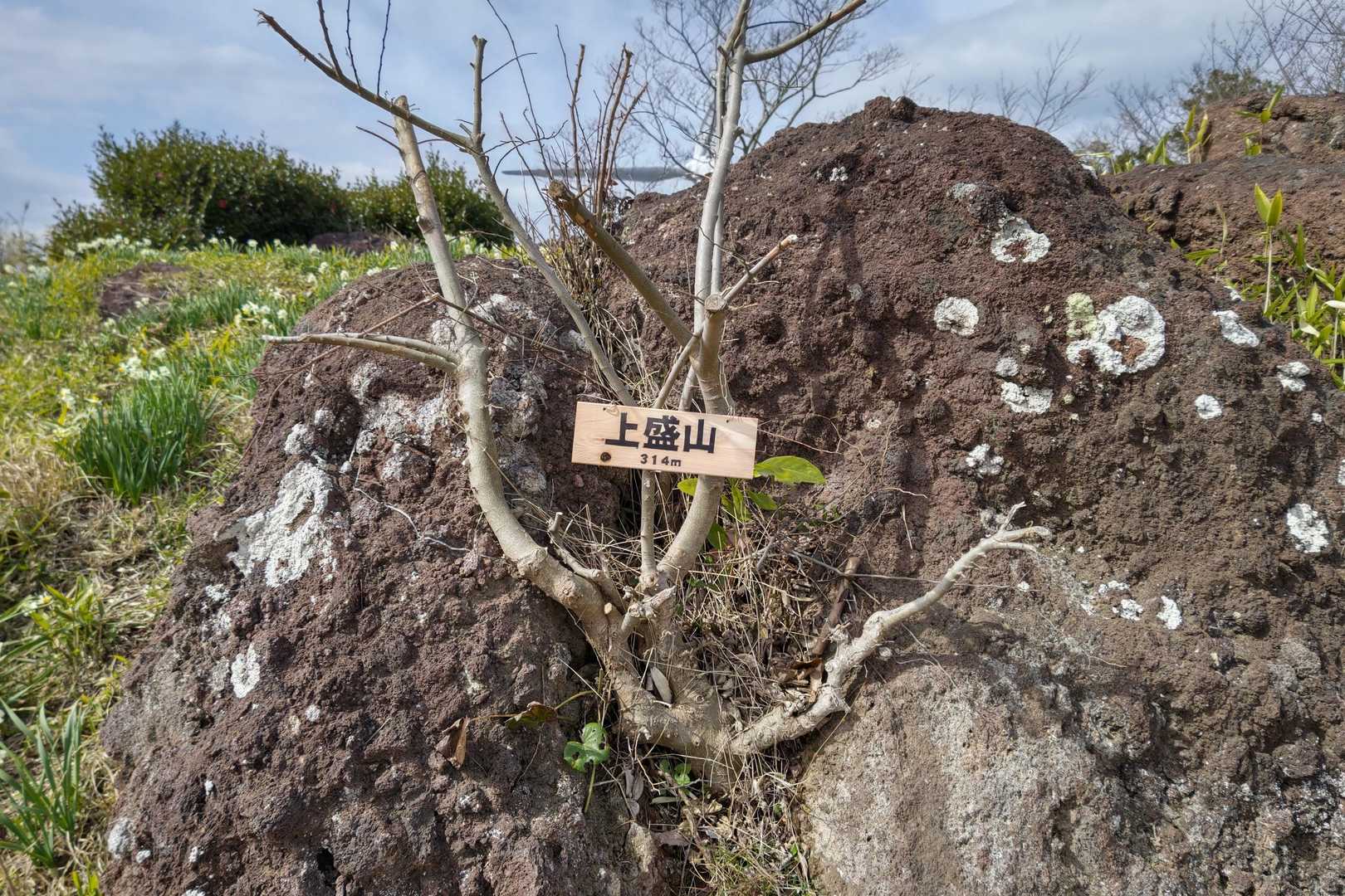 上盛山 周回コースの写真