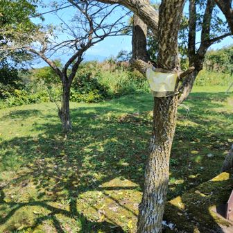 山頂看板？ちょっとさむいｗ