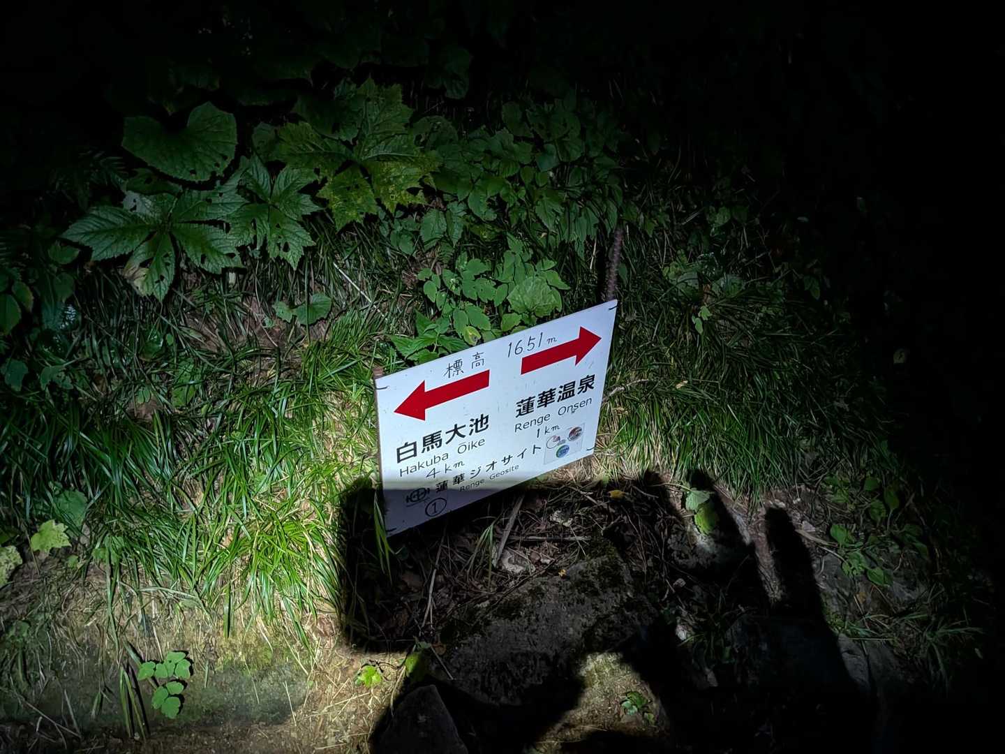 何年か前も真っ暗だったな〜