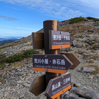 分岐も凄みある