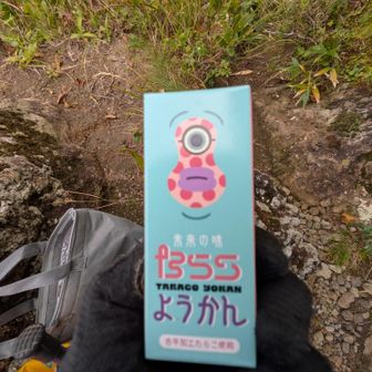 ぽっぽちゃんを味見に巻き込もう🤣