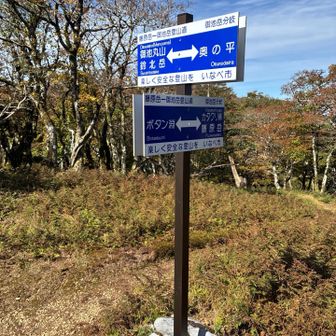 途中でカタクリ峠へ、下山の途につきます。