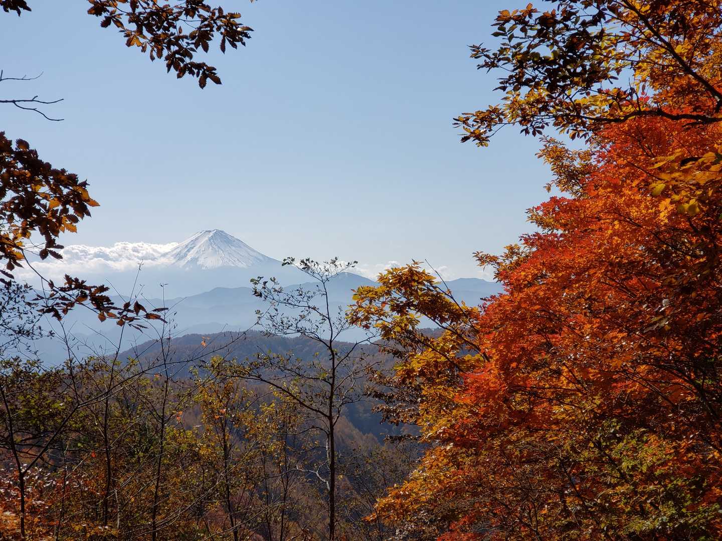 紅葉🍁と🗻