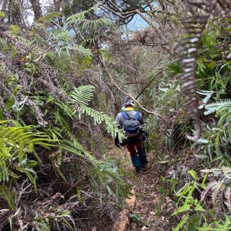 私は行者山を通って行くコースへ
ぱらみつさんに着いていきます

他の方は整備された道を通って行かれます
妹背の滝で合流です