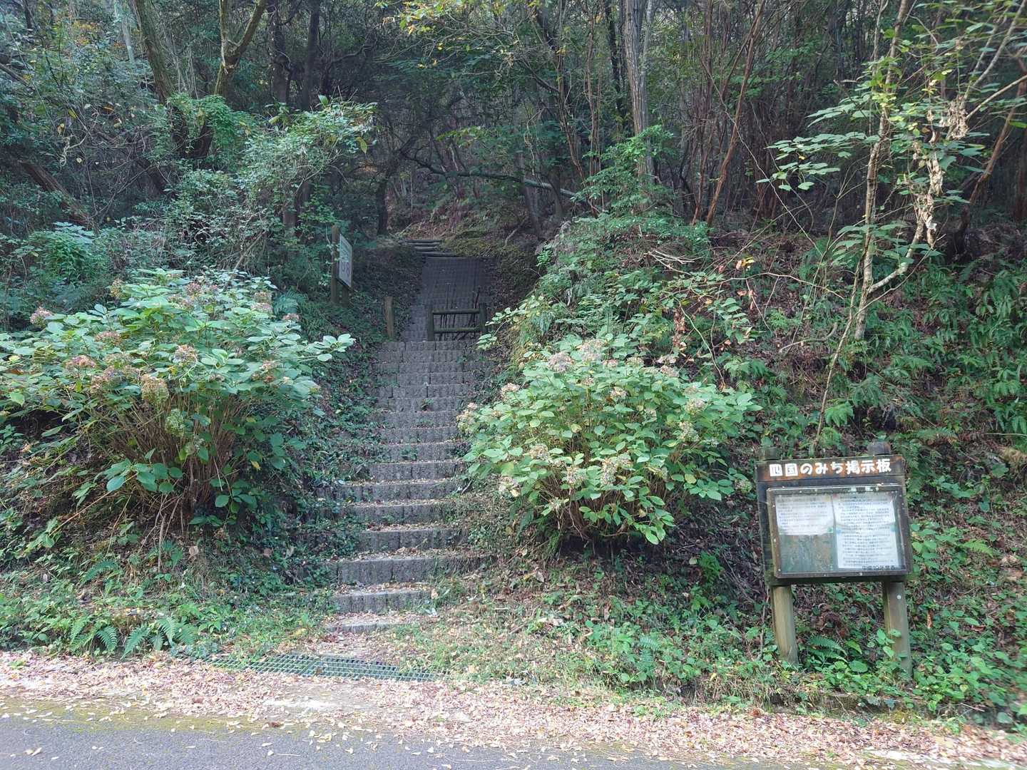 粟井ダム登山口より