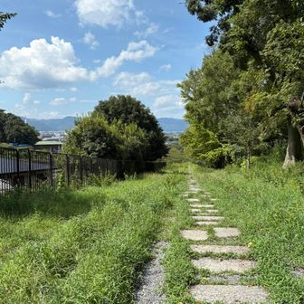 インクライン
ほんまに誰もいませんね　
暑過ぎるからですね
めっちゃ暑い　🥵　暑い🥵　とても暑い🥵