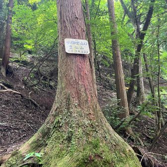 登山口