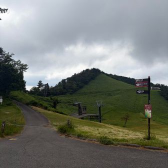 豪円山、時間があれば行ってました