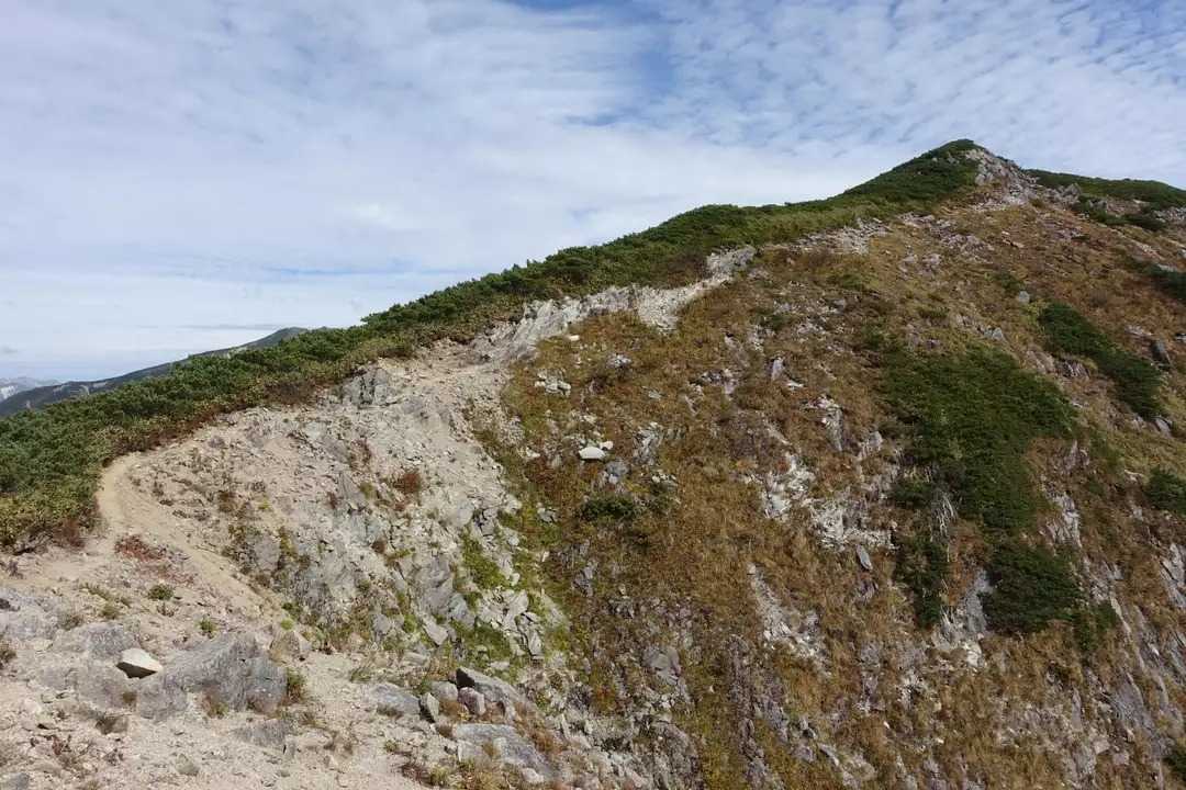 大ノマ岳の写真