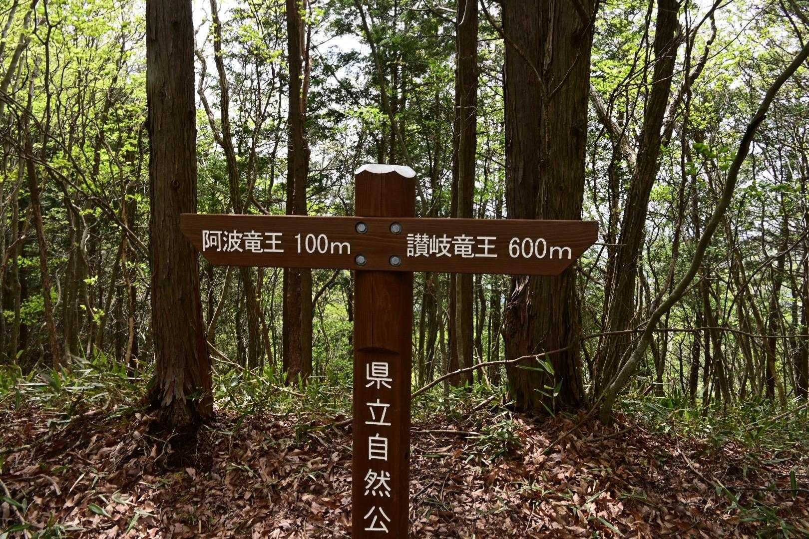 ここからぐうんと下がります