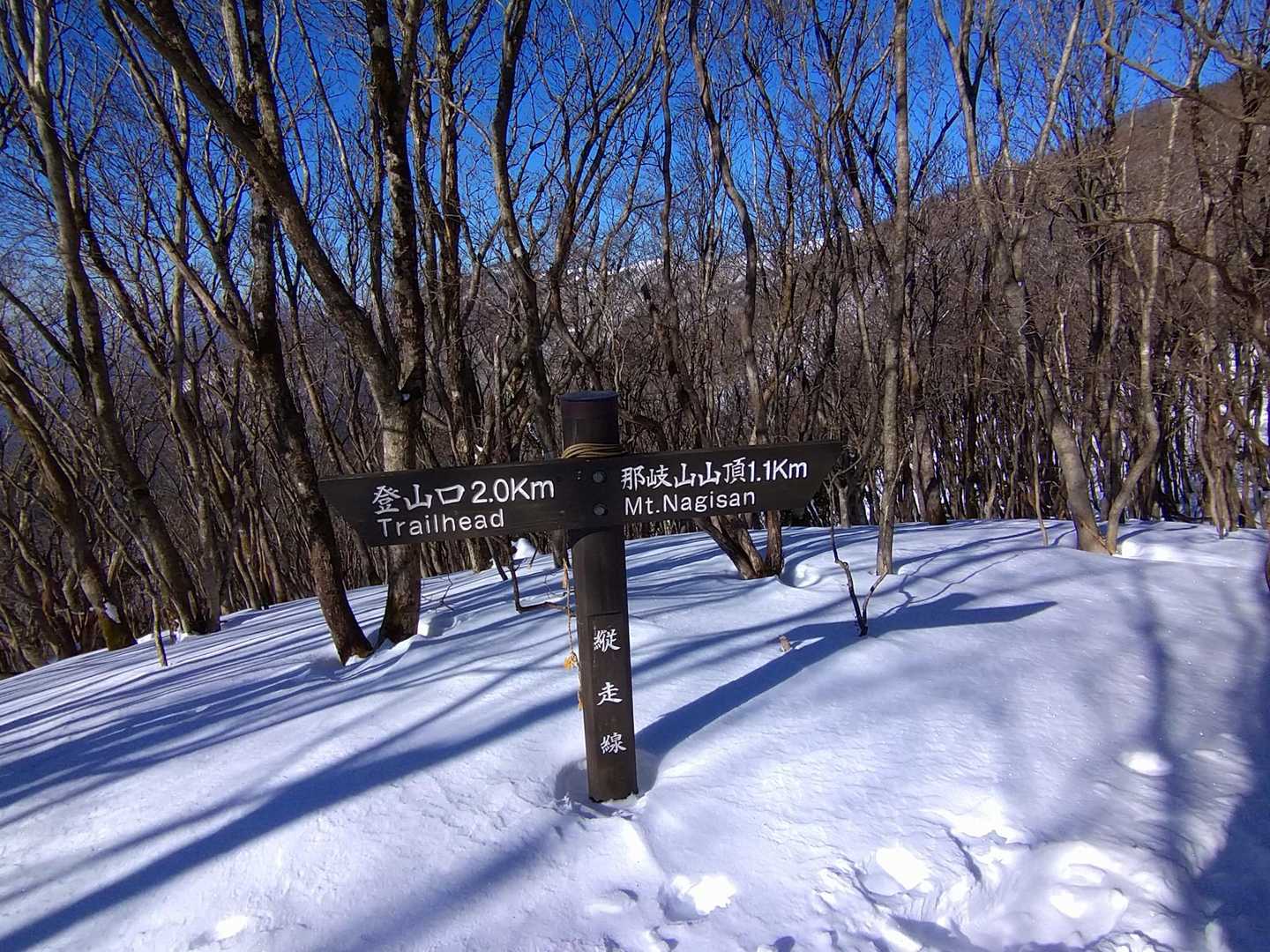 那岐山 往復コースの写真