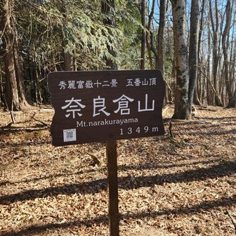 奈良倉山(1,349m)でランチタイム🍙をとり11:50頃出発！
